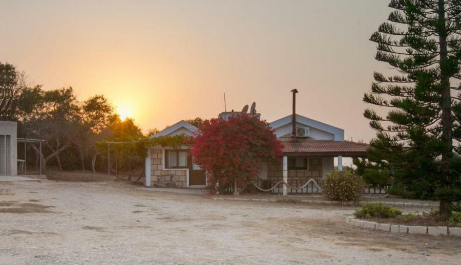 Balci Plaza Hotel And Balci Plaza Guest Bungalows Karpaz Peninsula Selenias Exterior foto